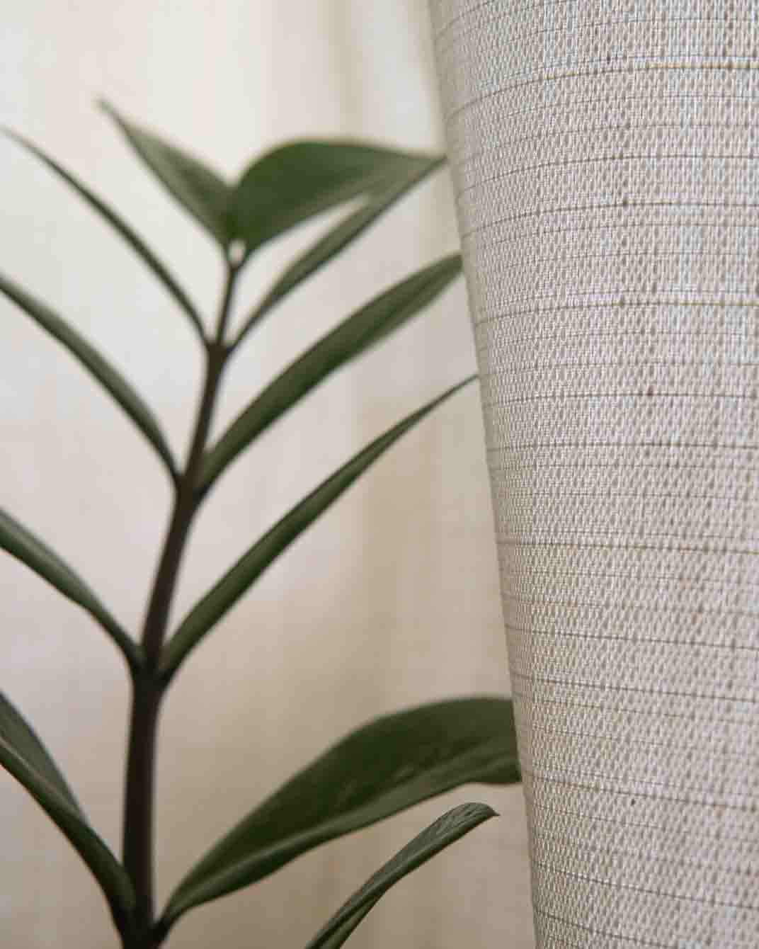 Inicio detalle planta interior 1